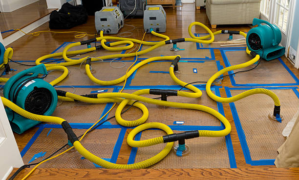 Professional Sewage Cleanup technician working in Rockdale, IL